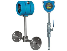 DN20熱式氣體質(zhì)量流量計(jì)